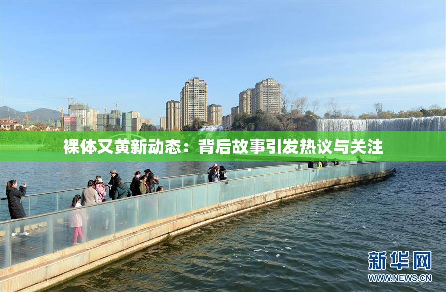 裸体又黄新动态：背后故事引发热议与关注