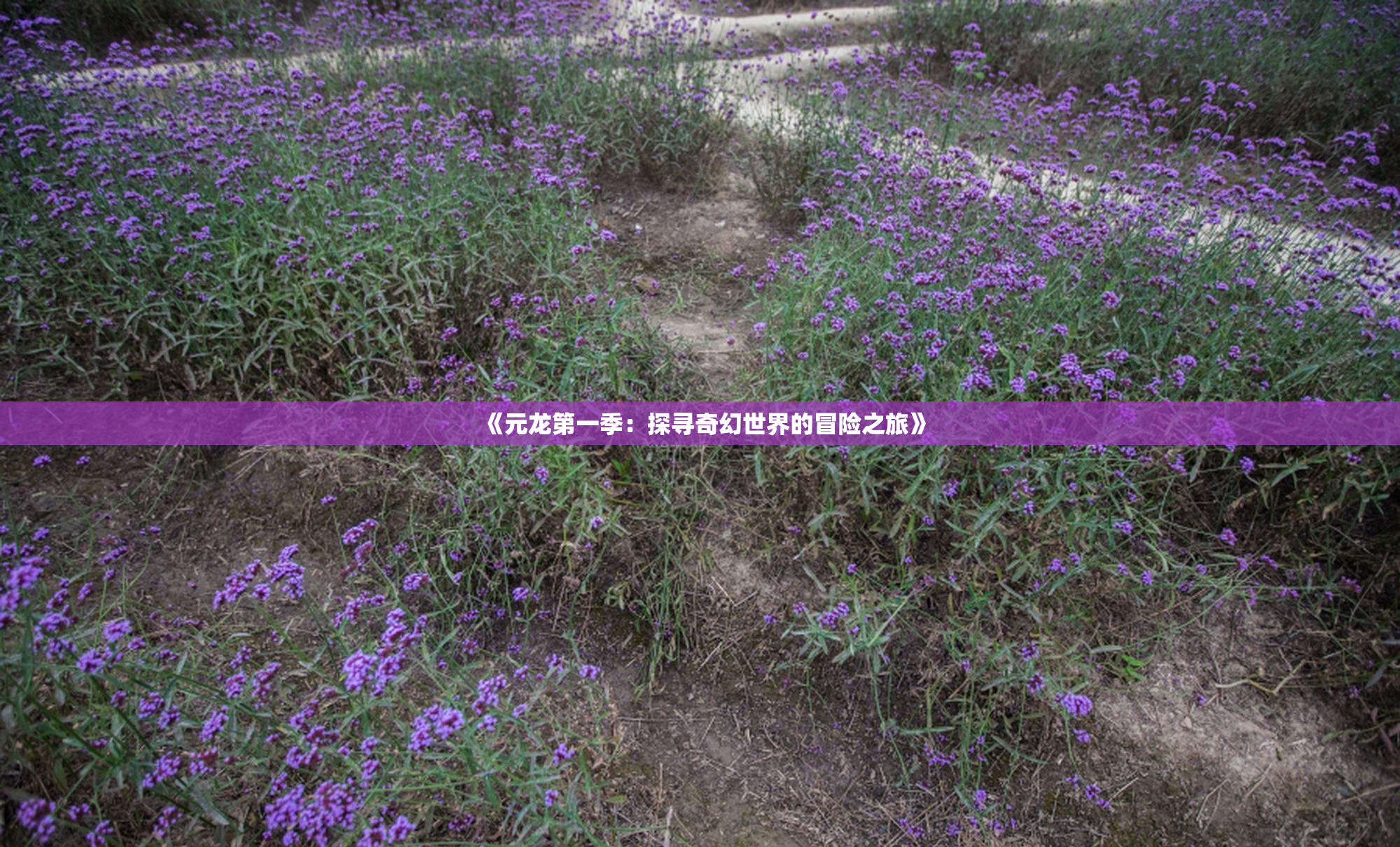 《元龙第一季：探寻奇幻世界的冒险之旅》