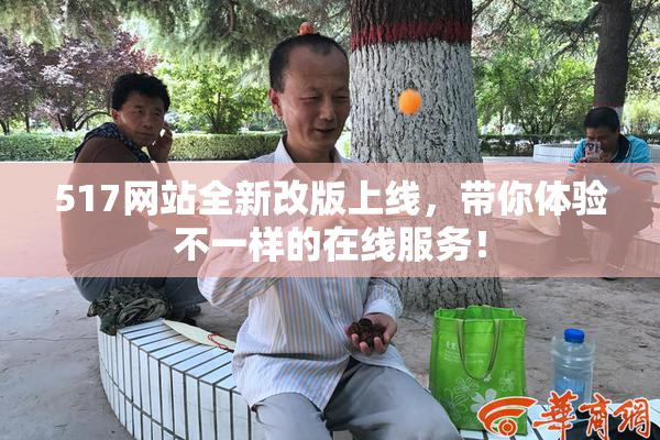 517网站全新改版上线，带你体验不一样的在线服务！