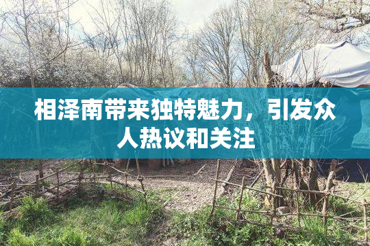 相泽南带来独特魅力，引发众人热议和关注