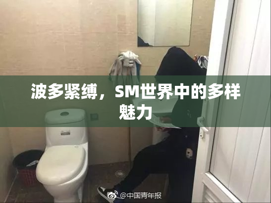 波多紧缚，SM世界中的多样魅力