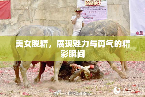美女脱精，展现魅力与勇气的精彩瞬间