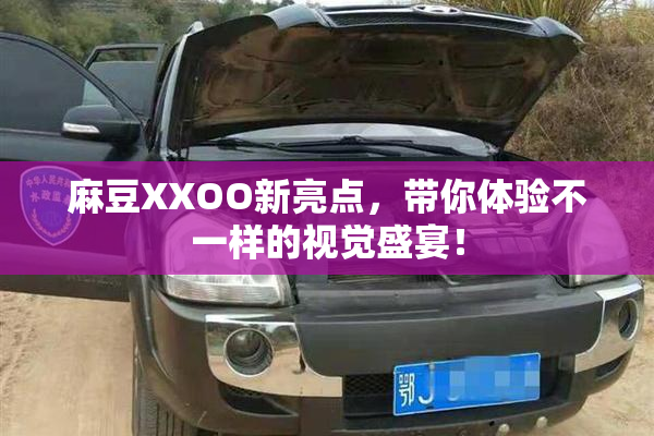 麻豆XXOO新亮点，带你体验不一样的视觉盛宴！