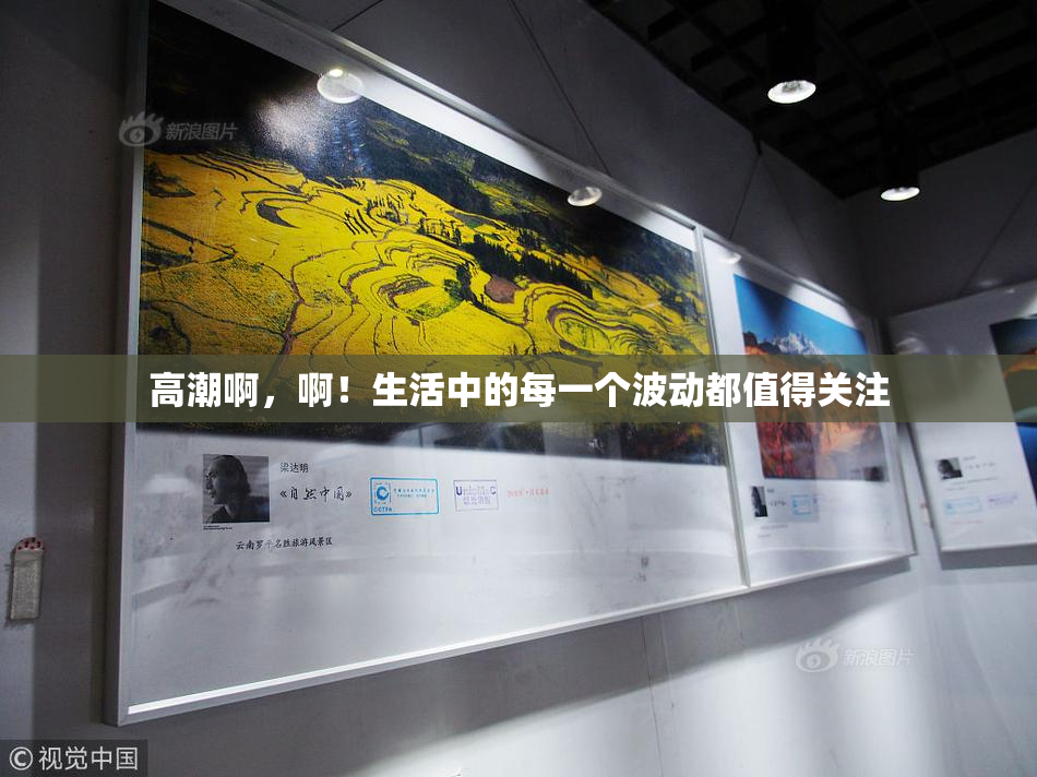 高潮啊，啊！生活中的每一个波动都值得关注
