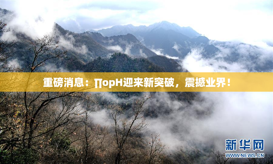重磅消息：∏opH迎来新突破，震撼业界！