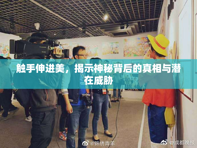 触手伸进美，揭示神秘背后的真相与潜在威胁