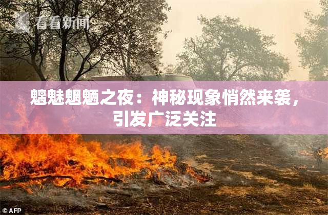 魑魅魍魉之夜：神秘现象悄然来袭，引发广泛关注