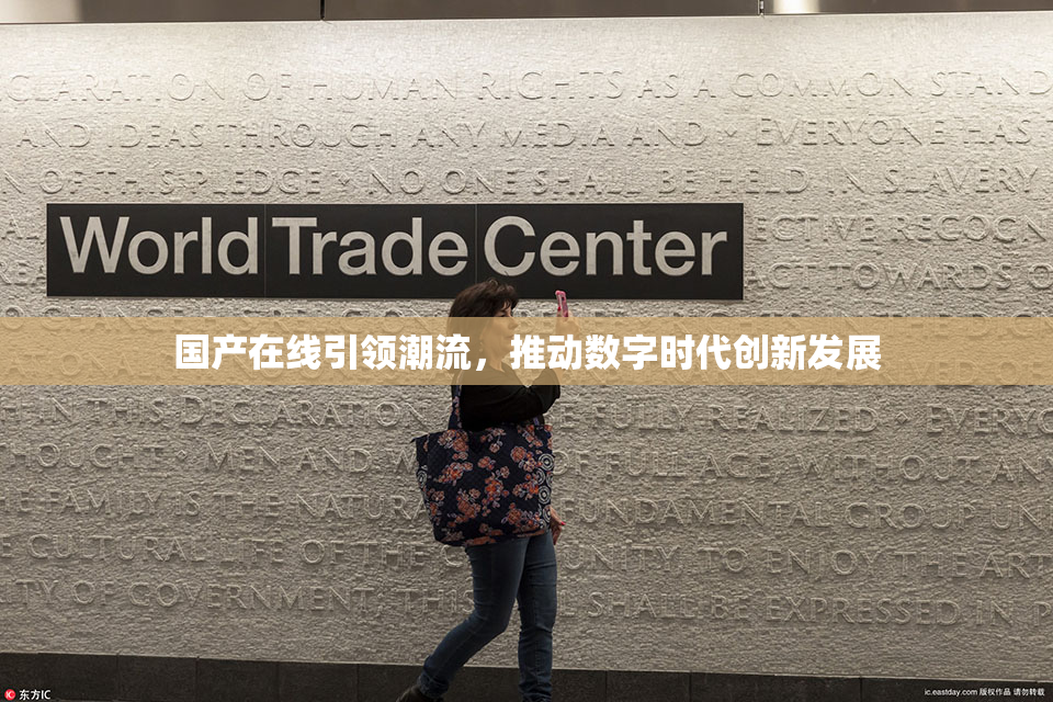 国产在线引领潮流，推动数字时代创新发展