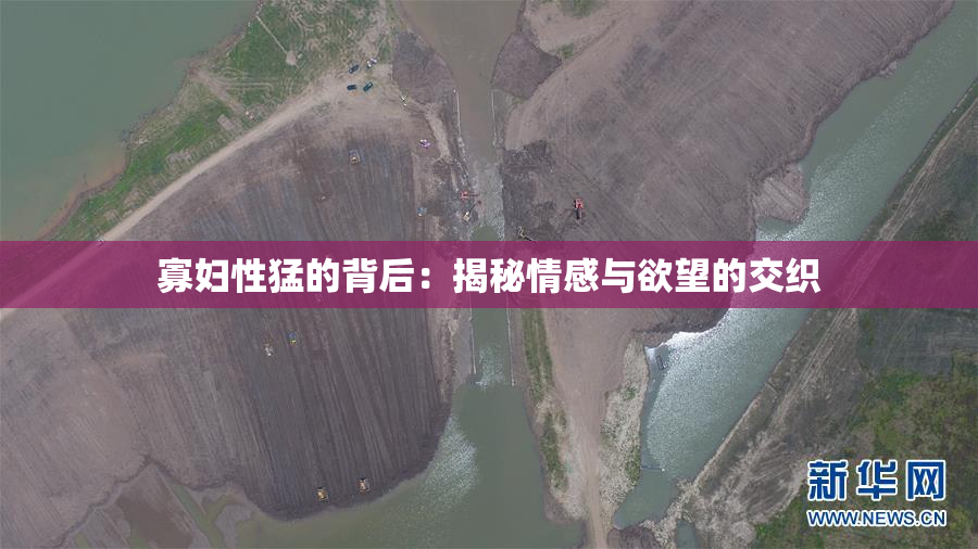 寡妇性猛的背后：揭秘情感与欲望的交织