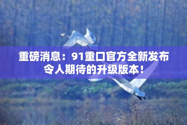 重磅消息：91重口官方全新发布令人期待的升级版本！