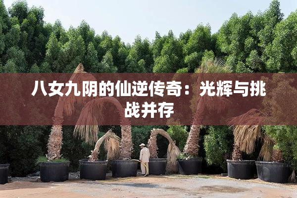 八女九阴的仙逆传奇：光辉与挑战并存