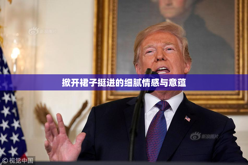 掀开裙子挺进的细腻情感与意蕴
