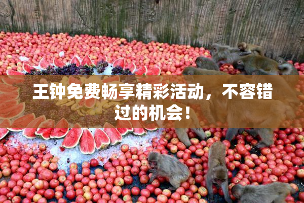 王钟免费畅享精彩活动，不容错过的机会！