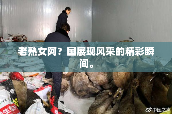 老熟女阿？国展现风采的精彩瞬间。