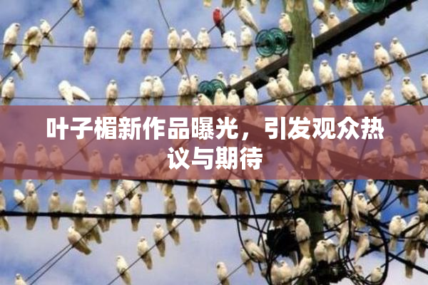叶子楣新作品曝光，引发观众热议与期待