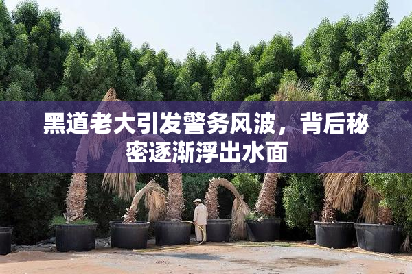 黑道老大引发警务风波，背后秘密逐渐浮出水面