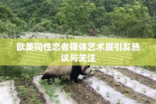 欧美同性恋者裸体艺术展引发热议与关注