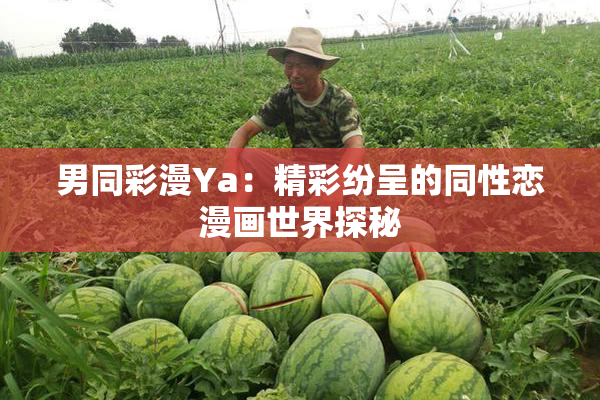 男同彩漫Ya：精彩纷呈的同性恋漫画世界探秘