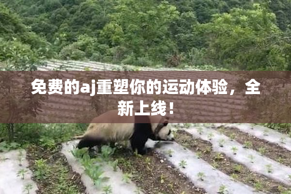 免费的aj重塑你的运动体验，全新上线！