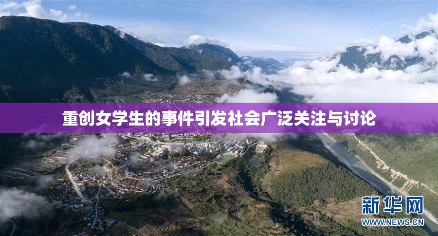 重创女学生的事件引发社会广泛关注与讨论