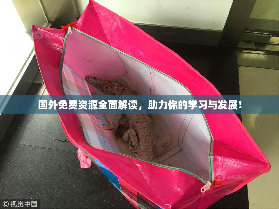 国外免费资源全面解读，助力你的学习与发展！
