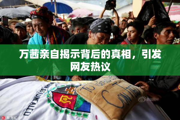 万茜亲自揭示背后的真相，引发网友热议