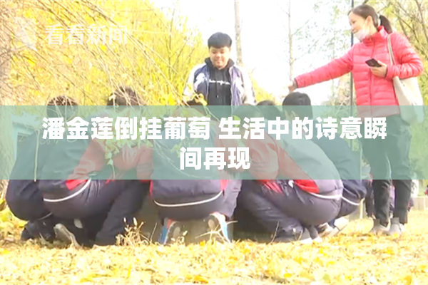 潘金莲倒挂葡萄 生活中的诗意瞬间再现