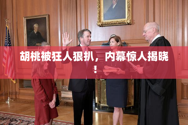 胡桃被狂人狠扒，内幕惊人揭晓！