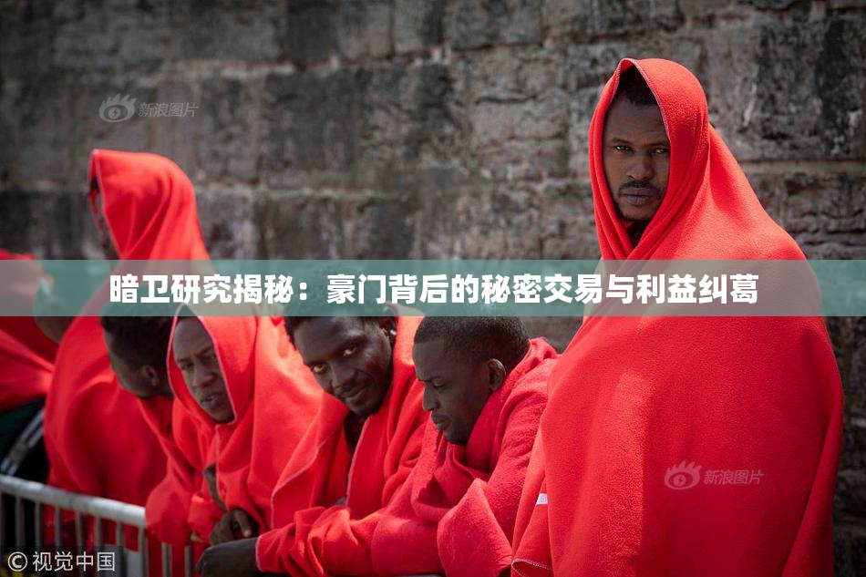 暗卫研究揭秘：豪门背后的秘密交易与利益纠葛