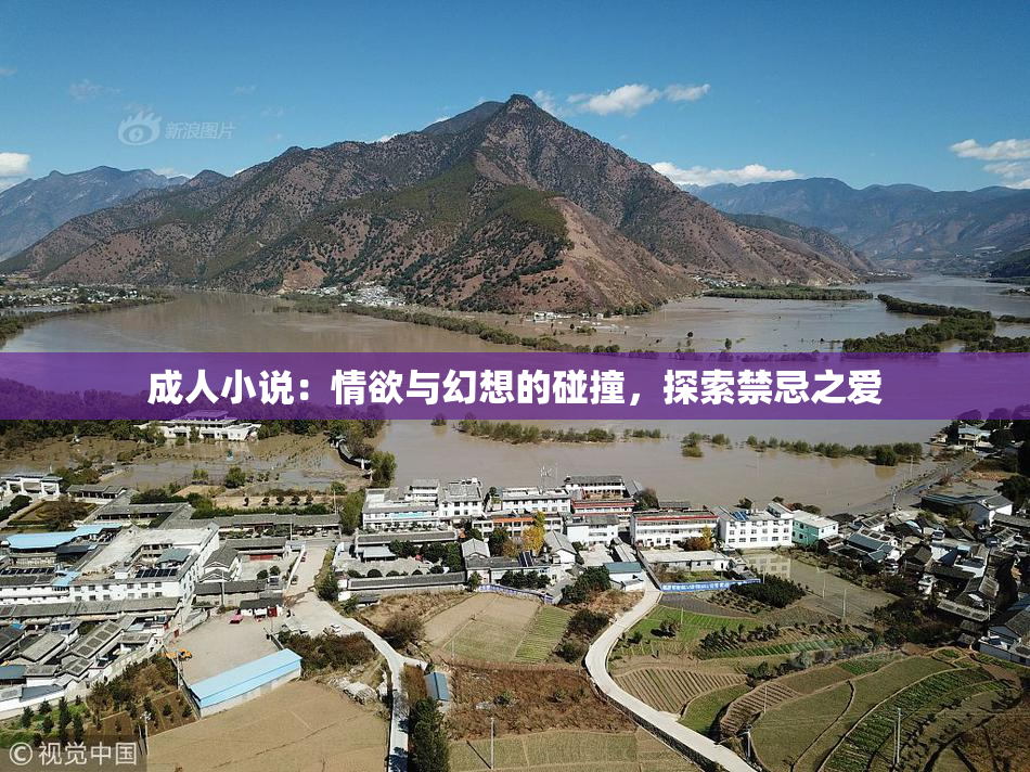 成人小说：情欲与幻想的碰撞，探索禁忌之爱