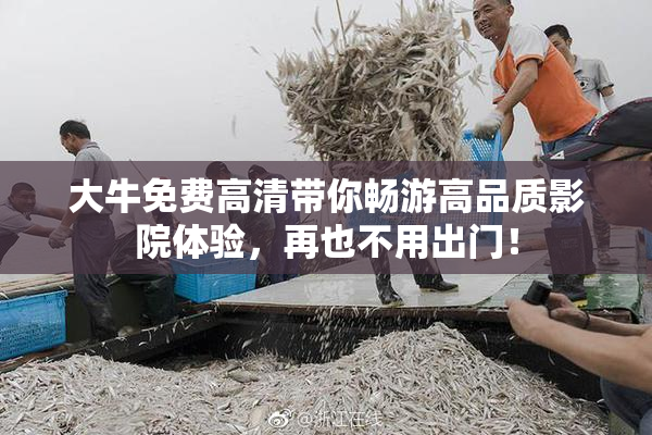大牛免费高清带你畅游高品质影院体验，再也不用出门！