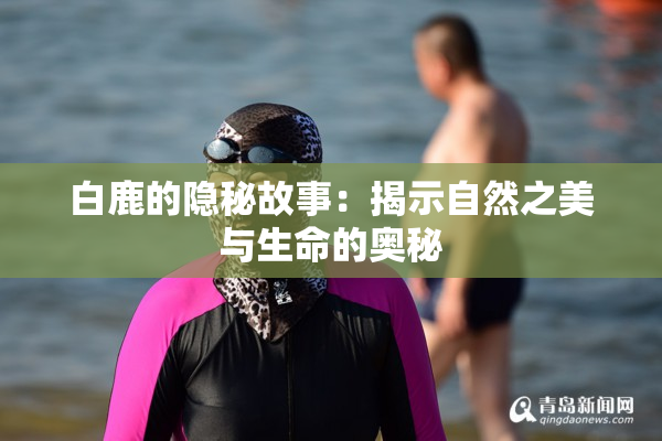白鹿的隐秘故事：揭示自然之美与生命的奥秘