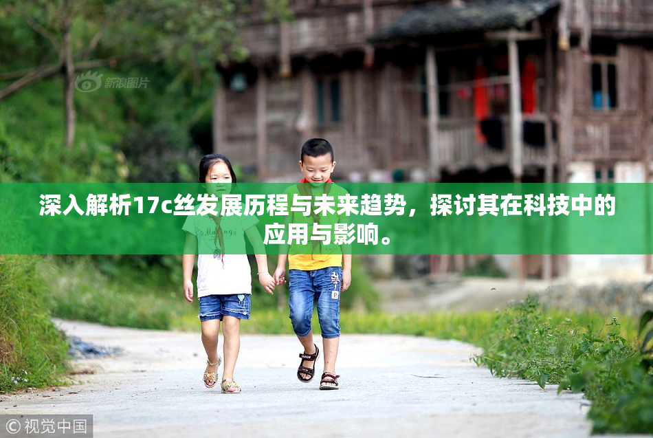 深入解析17c丝发展历程与未来趋势，探讨其在科技中的应用与影响。