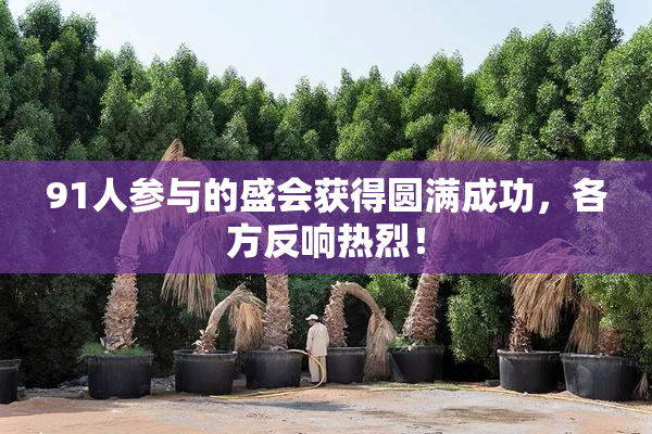 91人参与的盛会获得圆满成功，各方反响热烈！