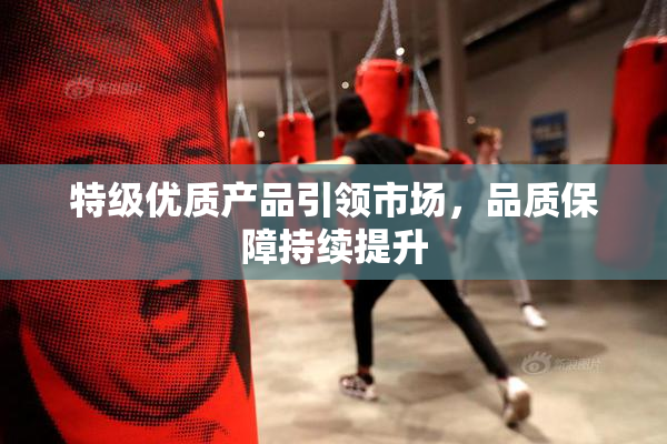 特级优质产品引领市场，品质保障持续提升