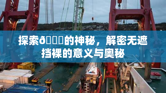 探索🔞的神秘，解密无遮挡裸的意义与奥秘