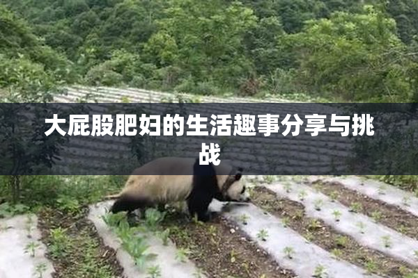 大屁股肥妇的生活趣事分享与挑战