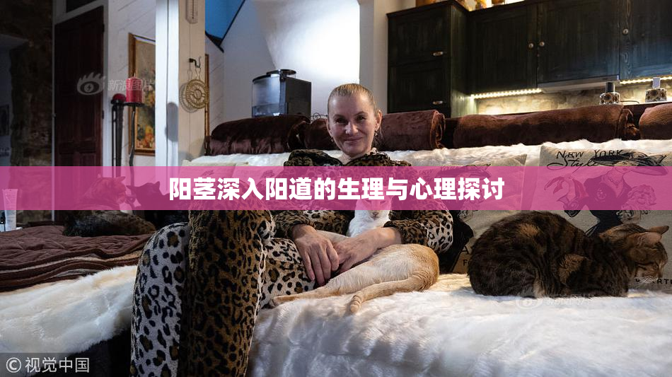 阳茎深入阳道的生理与心理探讨