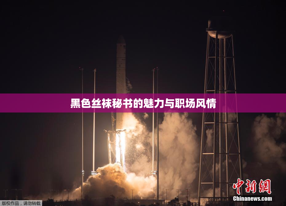 黑色丝袜秘书的魅力与职场风情