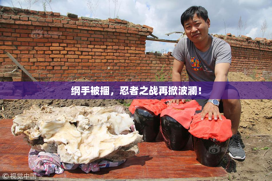 纲手被捆，忍者之战再掀波澜！