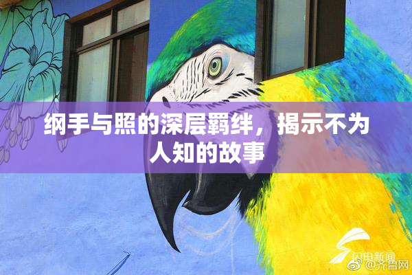 纲手与照的深层羁绊，揭示不为人知的故事
