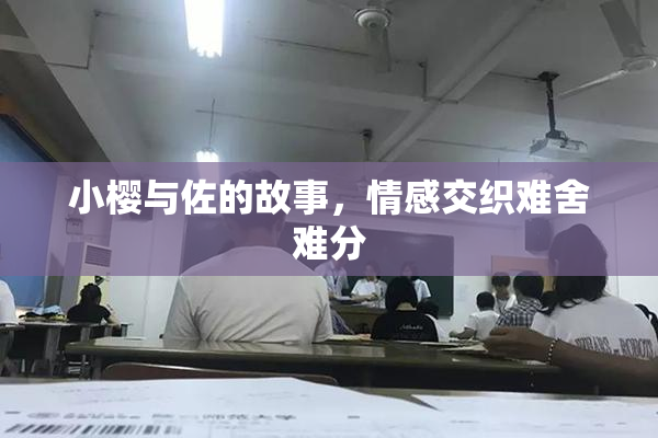小樱与佐的故事，情感交织难舍难分