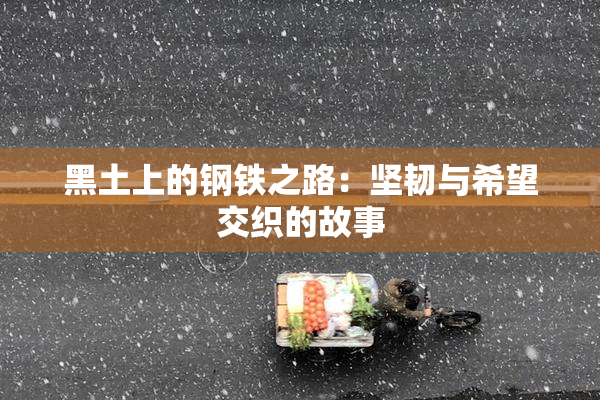 黑土上的钢铁之路：坚韧与希望交织的故事