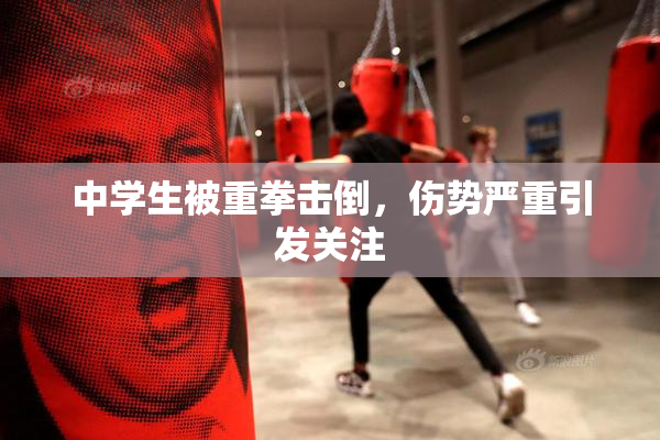 中学生被重拳击倒，伤势严重引发关注