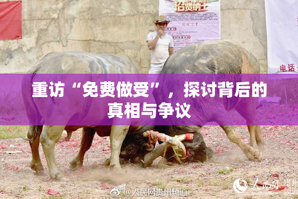 重访“免费做受”，探讨背后的真相与争议
