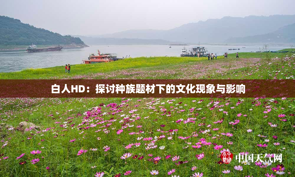 白人HD：探讨种族题材下的文化现象与影响
