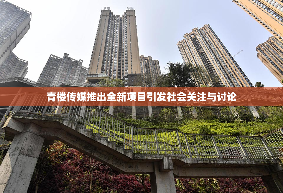 青楼传媒推出全新项目引发社会关注与讨论