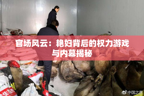 官场风云：艳妇背后的权力游戏与内幕揭秘