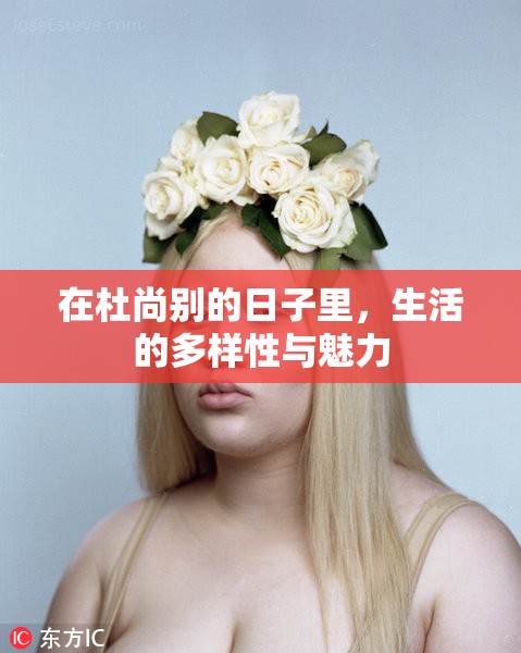 在杜尚别的日子里，生活的多样性与魅力