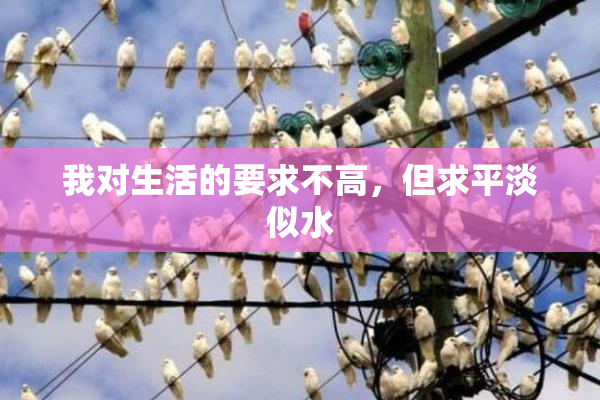 我对生活的要求不高，但求平淡似水